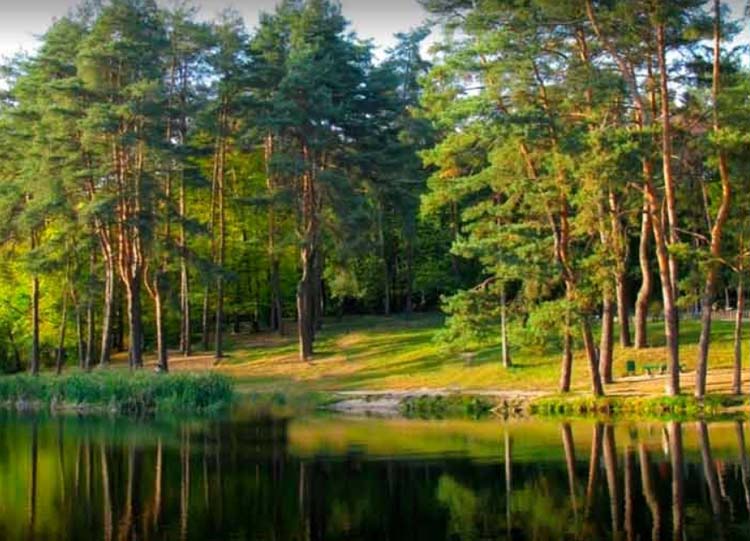 Партизанської слави Парк